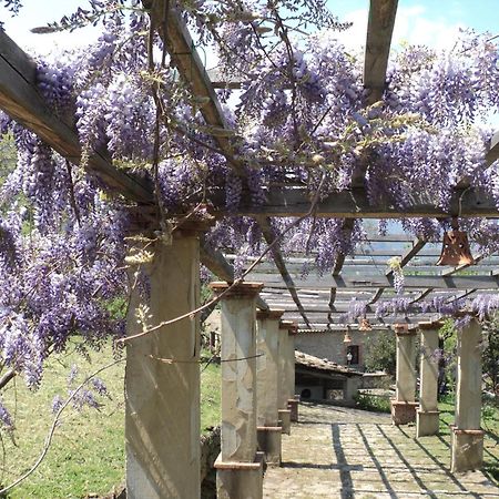 Вилла Agriturismo Il Daino San Piero Patti Экстерьер фото