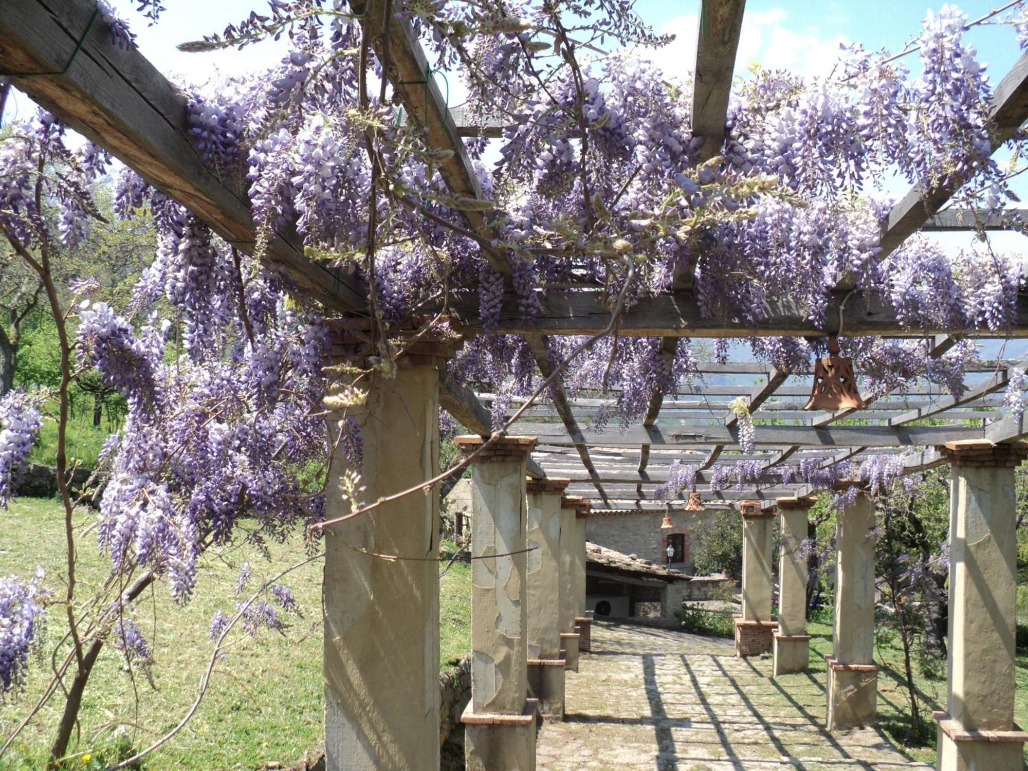 Вилла Agriturismo Il Daino San Piero Patti Экстерьер фото