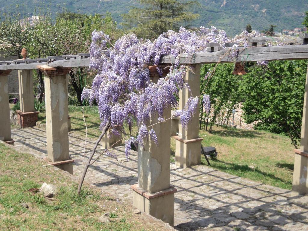 Вилла Agriturismo Il Daino San Piero Patti Экстерьер фото