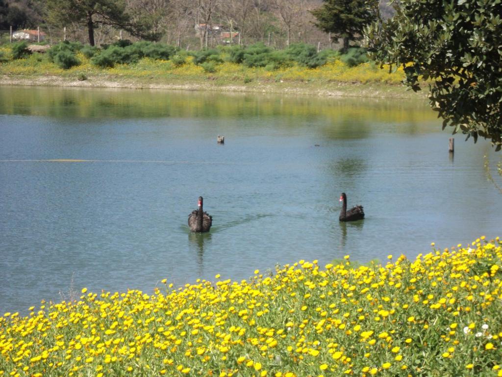 Вилла Agriturismo Il Daino San Piero Patti Экстерьер фото